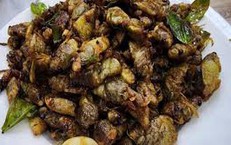Bộ Y tế yêu cầu xác minh, xử lý vụ 9 người nhập viện sau khi ăn ve sầu ở Quảng Trị
