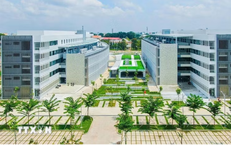 Thành lập phân hiệu, sáp nhập một số trường cao đẳng vào đại học