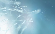 Tinh dịch loãng có gây vô sinh không?
