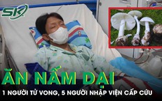 1 người tử vong, 5 người cấp cứu sau khi ăn canh nấm