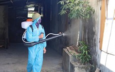 Xuất hiện thêm ổ dịch sốt xuất huyết, Hà Tĩnh tăng tốc phòng chống