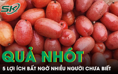 5 lợi ích bất ngờ của quả nhót với sức khỏe, nhiều người chưa biết 