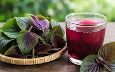 Cách uống nước lá tía tô giúp giảm cân, trắng da, ngừa mụn