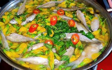 4 món ngon từ bông điên điển