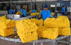Cổ phiếu PHR được BSC khuyến nghị mua