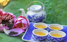 Trà tâm sen – hỗ trợ cải thiện giấc ngủ nhưng ai không nên dùng?