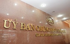  Ủy ban Chứng khoán Nhà nước xử phạt Công ty TNHH Đầu tư Gia Cường