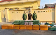 Ngụy trang gần nửa tấn tràng lợn đông lạnh trong bao dứa chuẩn bị 'vượt biên' vào đất liền