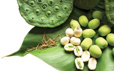 Ăn hạt sen hàng ngày có tốt không?