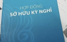 Lừa đảo bằng hợp đồng sở hữu kỳ nghỉ có thể bị xử lý thế nào?