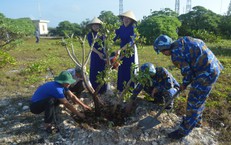 Thêm gần 183.000 cây trồng và 240 tấn phân bón để ‘Xanh hóa Trường Sa’