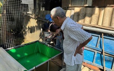 Sốt xuất huyết vẫn tiềm ẩn nhiều nguy cơ, hành động từ mỗi gia đình để bảo vệ cộng đồng