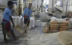 Thị trường nông sản: Giá cà phê thế giới phục hồi ấn tượng sau nhịp giảm