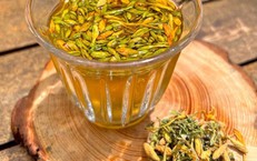 Hoa đu đủ đực giúp hỗ trợ điều trị bệnh gì?