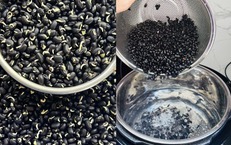 Nước đậu đen và sức khỏe thận dưới góc nhìn khoa học