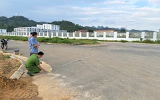 Bị đàn dê ăn mất lá chuối, người đàn ông bắt trộm dê về làm thịt