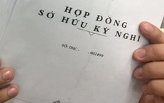 Hợp đồng kỳ nghỉ và những tổn thương không thể khỏa lấp của người già