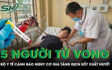 5 người tử vong vì sốt xuất huyết, Bộ Y tế lên tiếng cảnh báo