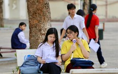 Các kênh tra cứu điểm thi, điểm chuẩn lớp 10 phụ huynh và thí sinh cần biết