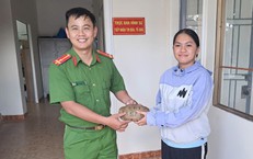 Phát hiện rùa núi vàng trong vườn, nữ sinh ở Lâm Đồng mang đến cơ quan công an