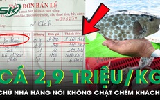 Du khách phản ánh cá bò hòm 2,9 triệu/kg, chủ nhà hàng nói không chặt chém