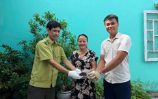 Hàng chục cá thể động vật quý hiếm được người dân ở Huế tự nguyện giao nộp