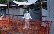 Dịch Ebola: Pháp ghi nhận ca bệnh đầu tiên