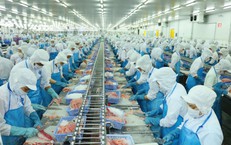 Cổ phiếu VHC được kỳ vọng tăng 5%