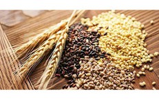 Người sau 50 tuổi nên duy trì 5 nguyên tắc ăn uống này để khỏe mạnh khi về già
