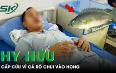 Cá rô chui vào họng, người đàn ông 39 tuổi cấp cứu trong đau đớn