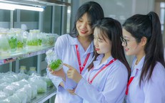 Chi tiết danh mục 111 ngành học được cấp học bổng mới nhất