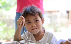 Dinh dưỡng học đường: Từ bữa ăn bán trú đến thay đổi hành vi chăm sóc trẻ
