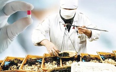 Thuốc y học cổ truyền mới chiếm hơn 5% chi BHYT, đề xuất mở rộng danh mục thanh toán