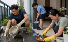 Vì sao sau mưa, sốt xuất huyết thường dễ tăng?