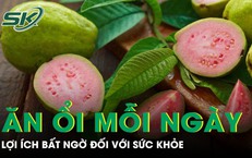 Tác dụng không ngờ của việc ăn 1-2 quả ổi mỗi ngày