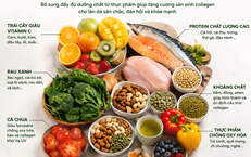 Collagen từ thực phẩm có thực sự hiệu quả?
