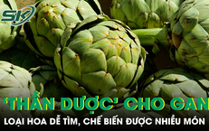 Loại hoa được ví như 'thần dược' cho gan, chế biến được nhiều món ngon