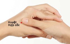Các huyệt vị hỗ trợ giảm đau nửa đầu