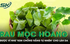 Loại rau mọc hoang đầy đường được ví như 'kem chống nắng tự nhiên’ cho làn da