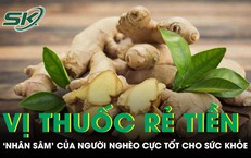 Vị thuốc rẻ tiền được ví như 'nhân sâm' của người nghèo cực tốt cho sức khỏe