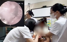 Thường xuyên chơi với thú cưng, bé gái 2 tuổi bị bọ chét ký sinh trong tai 