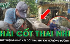 Phát hiện gần 40 hài cốt thai nhi khi mở rộng đường, nằm rải rác ở các gốc cây, bờ tường tại Ninh Bình