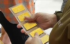 Giá vàng giảm sâu, chuyên gia cảnh báo tâm lý 'sợ bỏ lỡ bắt đáy'