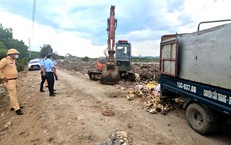 Thu giữ gần 2 tấn xương động vật bốc mùi tại Thanh Hóa