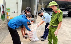 Tài xế chở gần nửa tấn lòng lợn bốc mùi hôi thối đi tiêu thụ