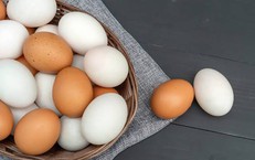 Nên cho trẻ ăn trứng gà hay trứng vịt để trẻ phát triển tốt nhất?