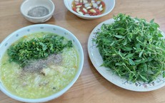 Món ăn bài thuốc hỗ trợ thanh nhiệt, giải độc từ rau đắng đất