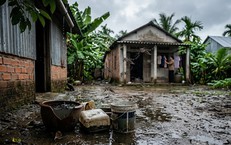 Sốt xuất huyết dễ bùng phát sau mưa lớn, phòng bệnh thế nào?