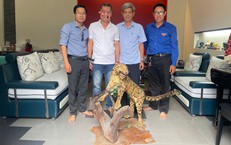 Bảo tàng ở Huế tiếp nhận tiêu bản động vật hoang dã quý hiếm