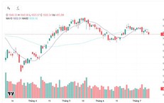 Xu hướng chứng khoán 13/7, quan sát diễn biến VN-Index
